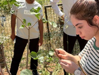 Ziraat Fakültemizde Uygulamalı Eğitim: Geleceğin Ziraat Mühendisleri Sahada Antepfıstığı Aşıladı